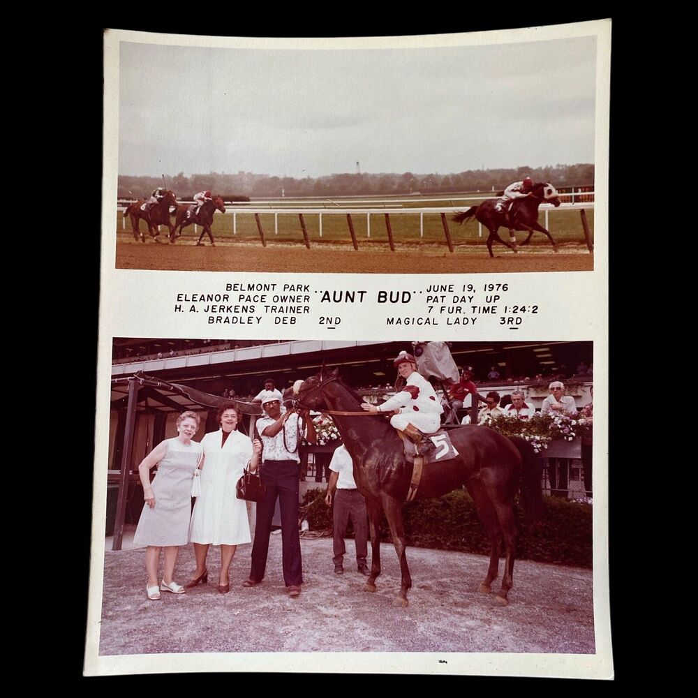 Vintage 1976 Belmont Park Horse Racing Photo "Aunt Bud" Color Thoroughbred